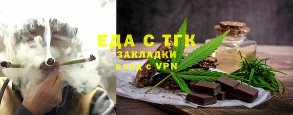 индика Горнозаводск