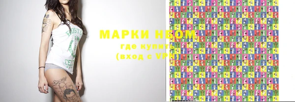 индика Горнозаводск