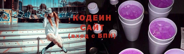индика Горнозаводск