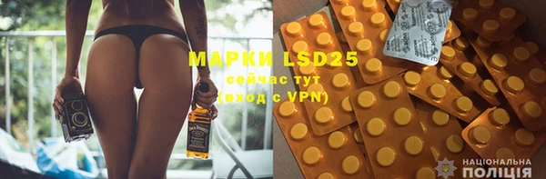 индика Горнозаводск