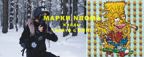 индика Горнозаводск