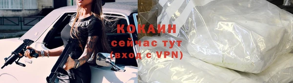 индика Горнозаводск