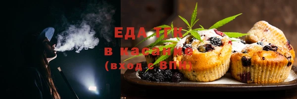 индика Горнозаводск