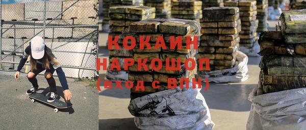 индика Горнозаводск