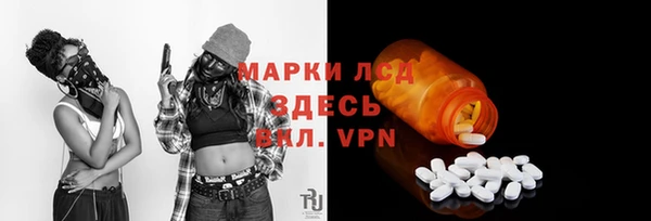 индика Горнозаводск