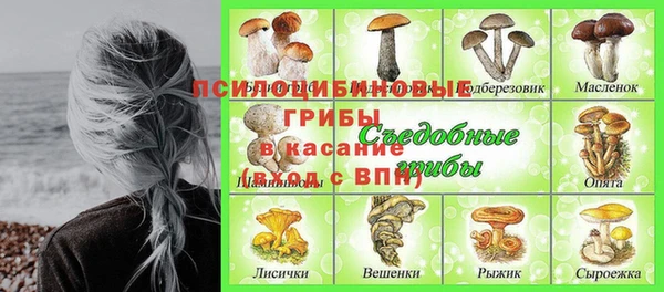 индика Горнозаводск