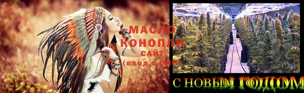 индика Горнозаводск