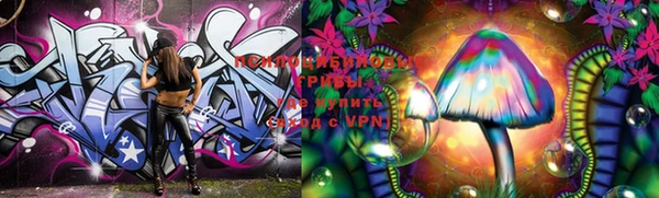 индика Горнозаводск