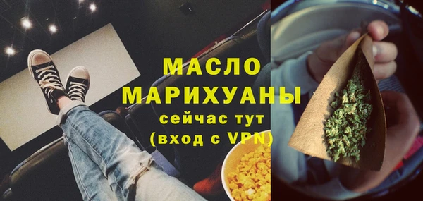 индика Горнозаводск