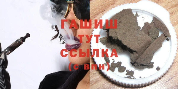 индика Горнозаводск